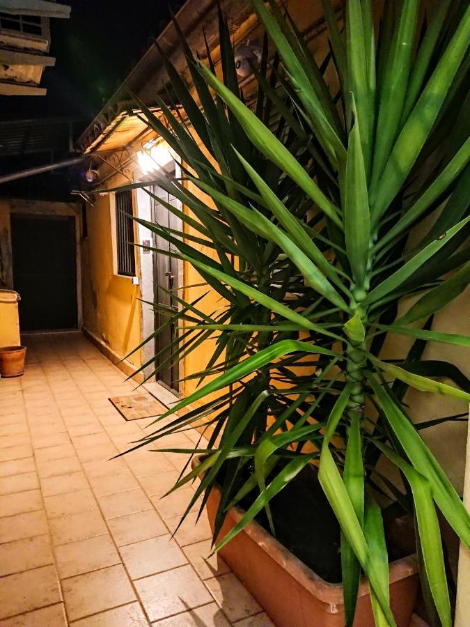 Siculi Central Apartment CTA Exteriér fotografie